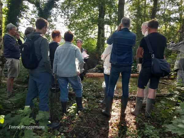 Op ontdekking langs het Klein Schijn © Fonne Bruggemans