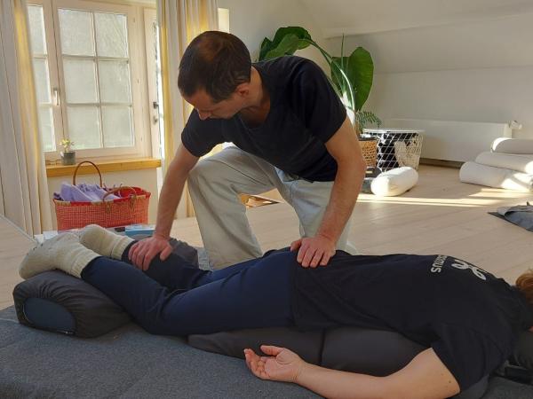 Workshop Shiatsu of drukpuntmassage © Tom Lemmens