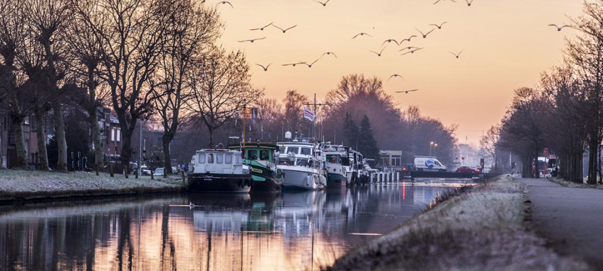 Banner winterochtend Schoten