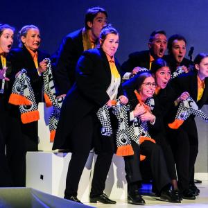 Muziektheater/Musical